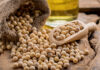 FEFAC warns of EU soy supply chain disruptions