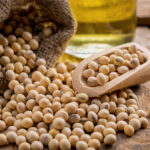 FEFAC warns of EU soy supply chain disruptions