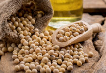 FEFAC warns of EU soy supply chain disruptions
