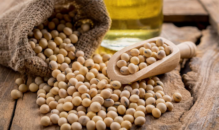 FEFAC warns of EU soy supply chain disruptions