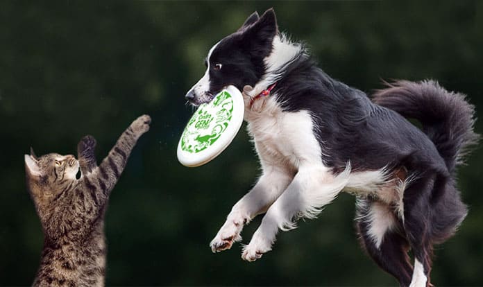 FSD Pharma enters into license agreement to develop FDA approved veterinary drugs