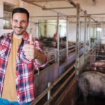 Feed Amino Acids and Global Market Status