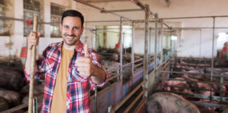 Feed Amino Acids and Global Market Status