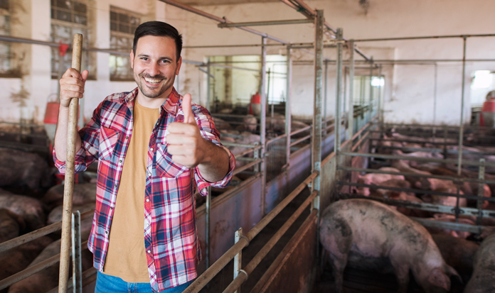 Feed Amino Acids and Global Market Status