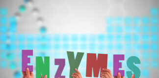 Feed Enzymes and Global Market Status