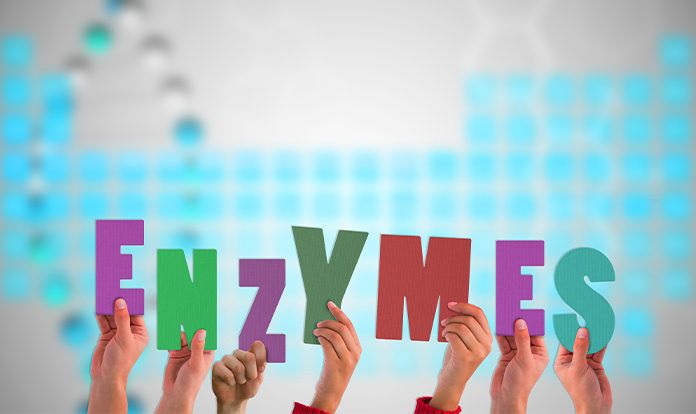 Feed Enzymes and Global Market Status