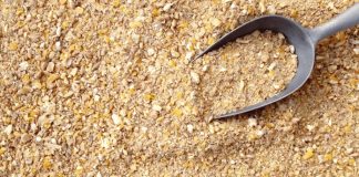 Feed Premixes and Global Market Status