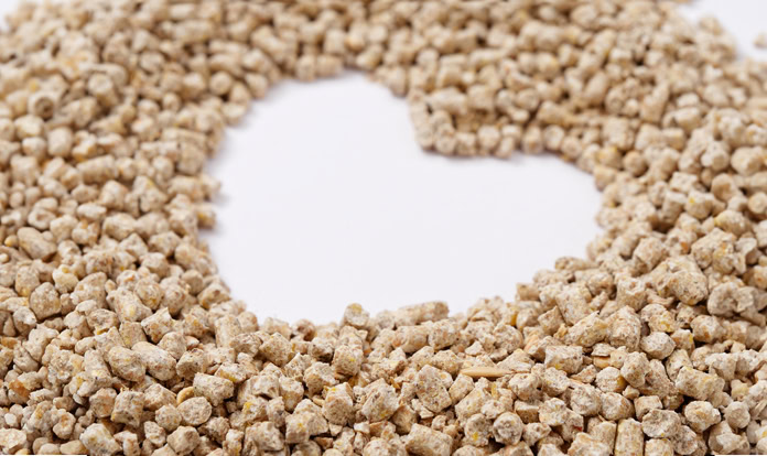 Feed Preservatives and Global Market Status