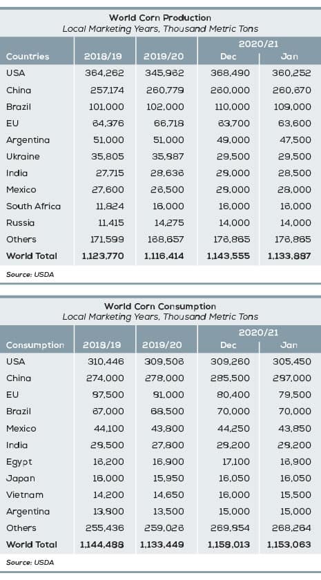 Feed Raw Materials CORN production