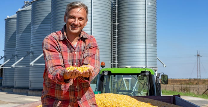 Feed Raw Materials maize