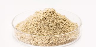 Feed Yeast and Global Market Status