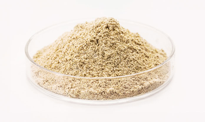 Feed Yeast and Global Market Status