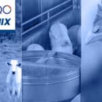 NUQO appoints SALMIX as strategic distribution partner in Brazil