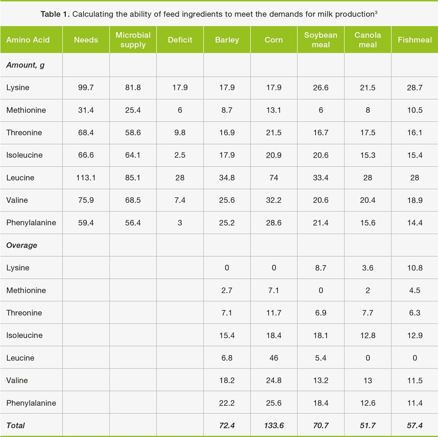 Feed efficiency starts with the right protein source