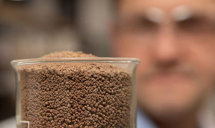 FeedKind improves shrimp welfare, reduces EMS risk