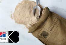 Fermentation-based animal protein being tested in pet food