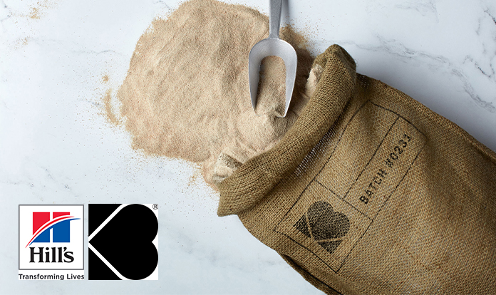 Fermentation-based animal protein being tested in pet food