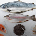 First industrial-scale FeedKind® facility heralds new era of food security