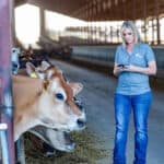 Five tips to curb dairy feed costs