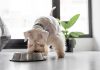 FoodScience expands pet wellness portfolio with new acquisition