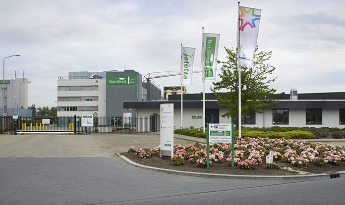 FrieslandCampina sells Nutrifeed animal nutrition business to Denkavit