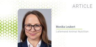 From Ingredients to Strategy: Rethinking Antioxidant Defense