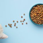 Further Foods designs FDA trial for cultivated meat in pet food