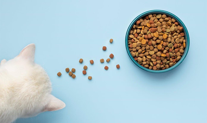 Further Foods designs FDA trial for cultivated meat in pet food
