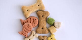 PFC Speakers: "Future Is Bright for US Pet Food Industry"