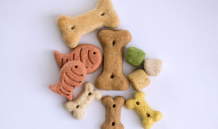 PFC Speakers: "Future Is Bright for US Pet Food Industry" 