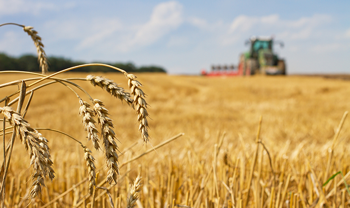 GMP+ International works on early warning system for mycotoxins