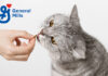 General Mills acquires pet health brand Fera Pets