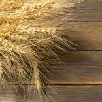 Global Barley Supply and Demand & 2024 Expectations