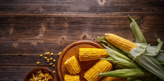 Global Corn Supply and Demand & 2024 Expectations