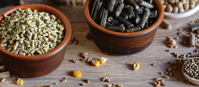 Global Mycotoxin Review: 2020 ANALYSIS AND OUTLOOK FOR 2021