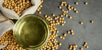 Global Oilseed Supply and Demand Strengthen in the New Season