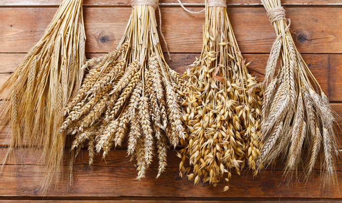 Global Wheat Supply and Demand & 2024 Expectations