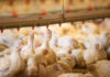 Global animal industry highlights avian influenza solutions in Brazil