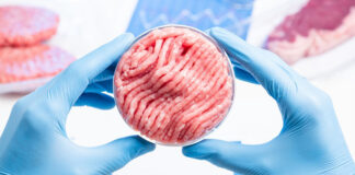 Global cultured meat market size to reach $592 million in 2030