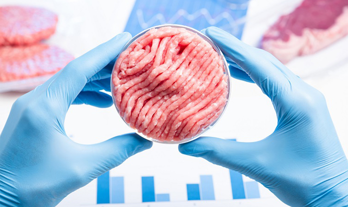 Global cultured meat market size to reach $592 million in 2030