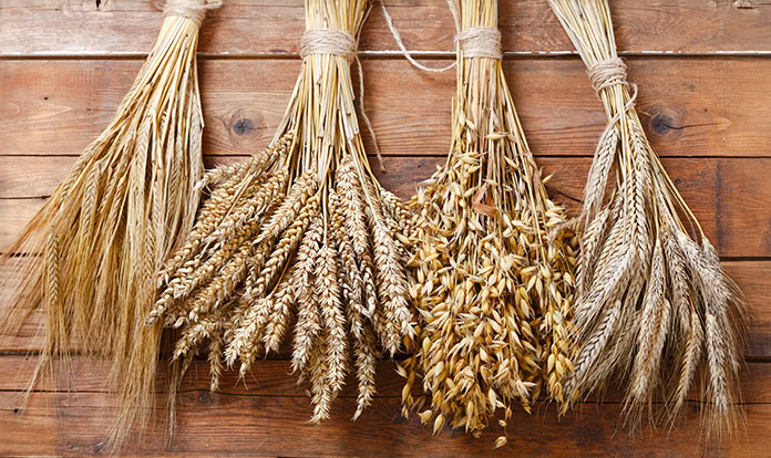 Global grain supply and demand set to break records in new season