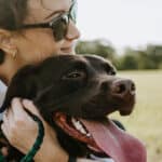 Global pet organizations WSAVA and GAPFA announce new partnership