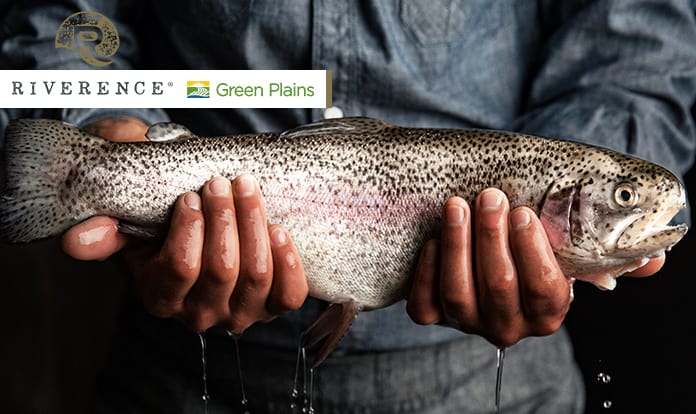 Green Plains announces aquafeed partnership with Riverence