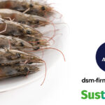 Grupo Almar and dsm-firmenich join forces for sustainable shrimp farming