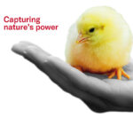 HTBA showcases suite of animal health solutions at 2023 LPN Congress & Expo