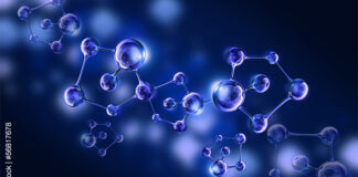 Organic Acids in Animal Nutrition: Global Market Status and Forecasts