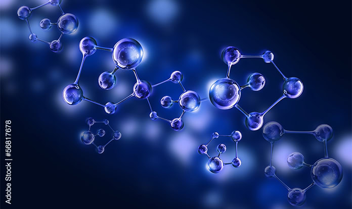 Organic Acids in Animal Nutrition: Global Market Status and Forecasts