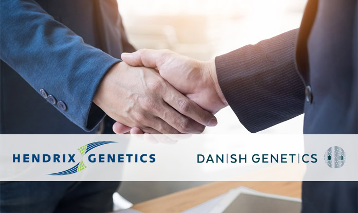 Hendrix Genetics completes merger of Hypor with Danish Genetics