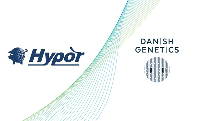 Hendrix Genetics merges swine division with Danish Genetics