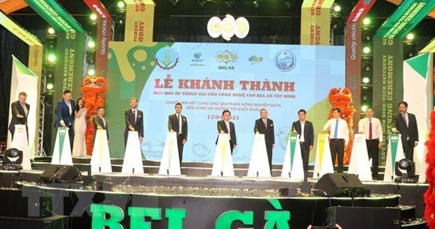 High-tech poultry incubation factory inaugurats in Vietnam